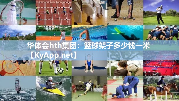 篮球架子多少钱一米